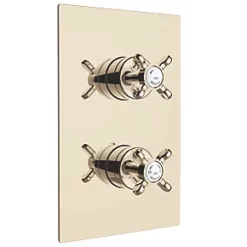 Bristan 1901 Concealed Mixer Shower Valve Fixed Gold